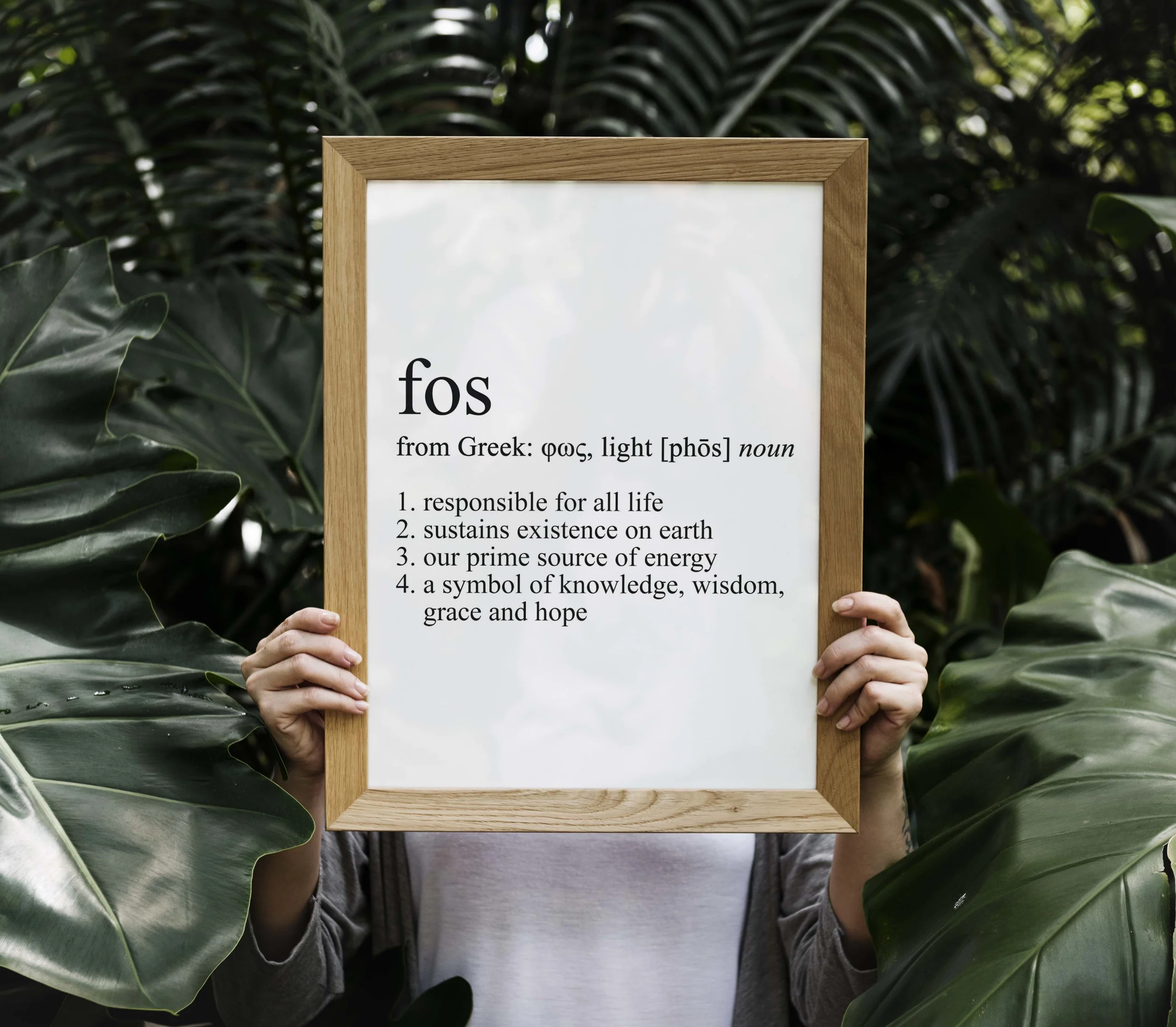 Decorative frame displays Fos Definition